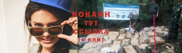 PSILOCYBIN Россошь