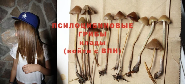 прущий лед Рославль