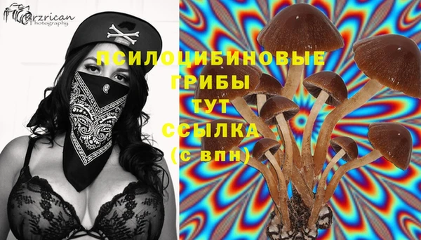 PSILOCYBIN Россошь